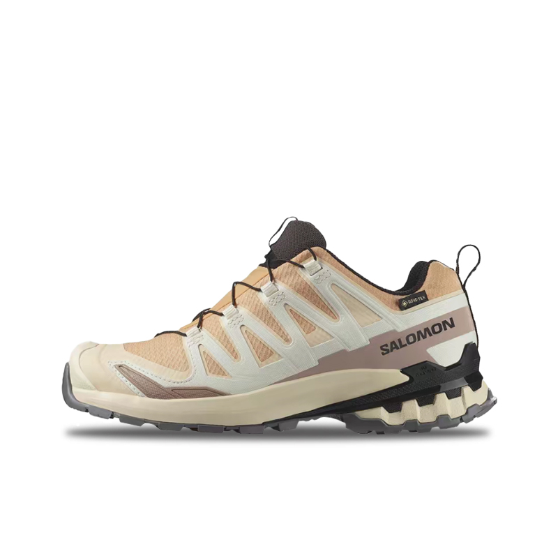 حذاء سالومون XA Pro 3D V9 GTX: - مراجعة Salomon Shoes Xa Pro 3D وسعره