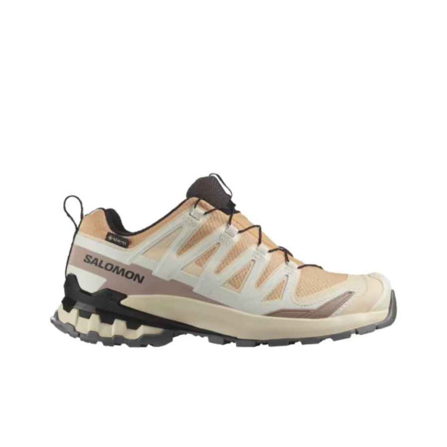 حذاء سالومون XA Pro 3D V9 GTX: - مراجعة Salomon Shoes Xa Pro 3D وسعره